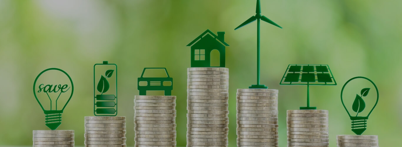 Why Green Finance?